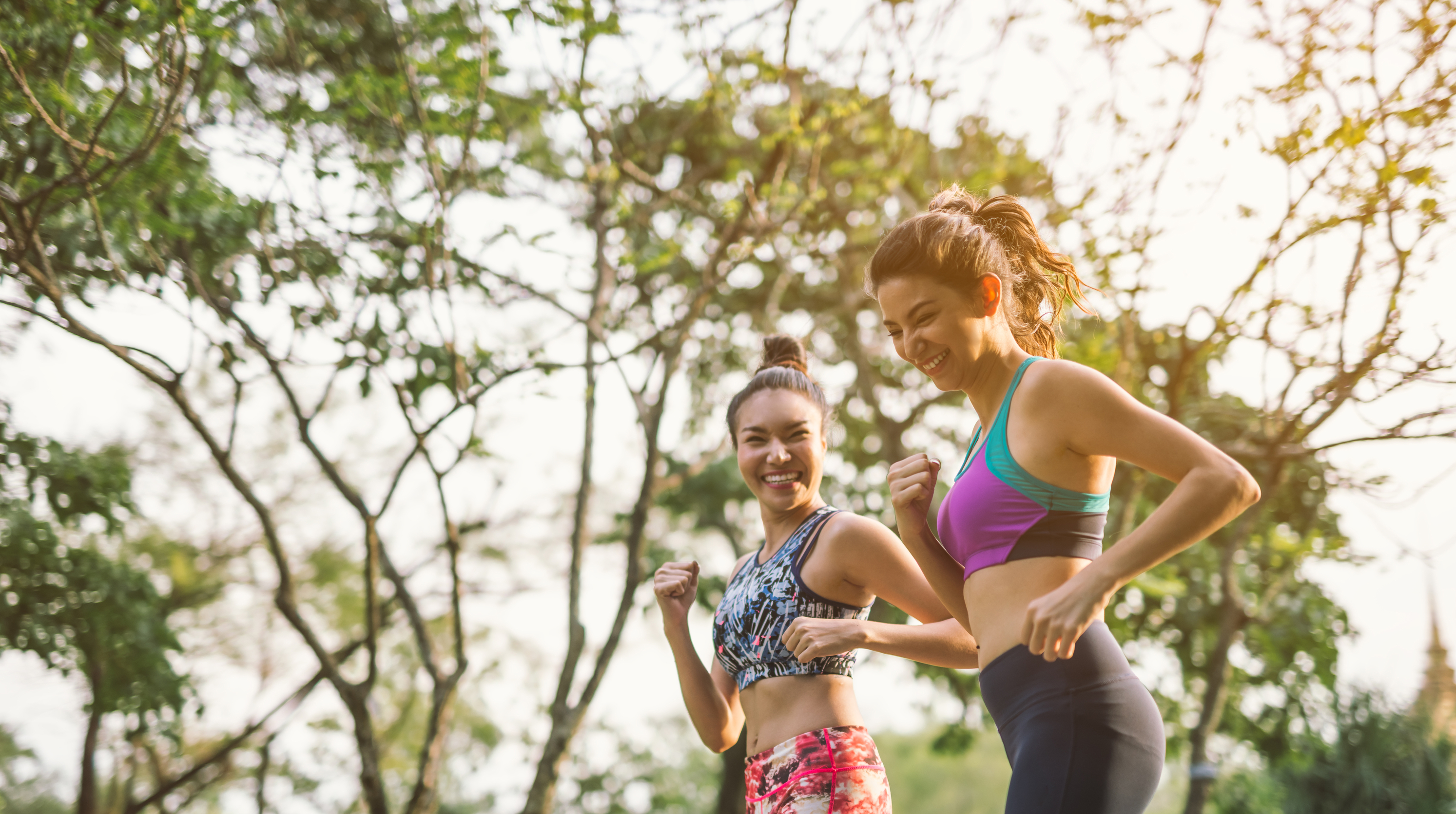 Menopause Treatment
